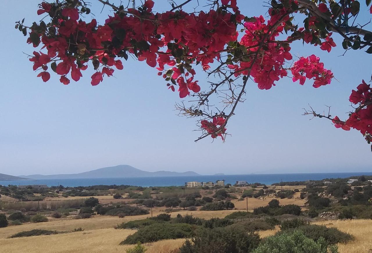Haus Asterakia Appartement Aliko Beach Buitenkant foto