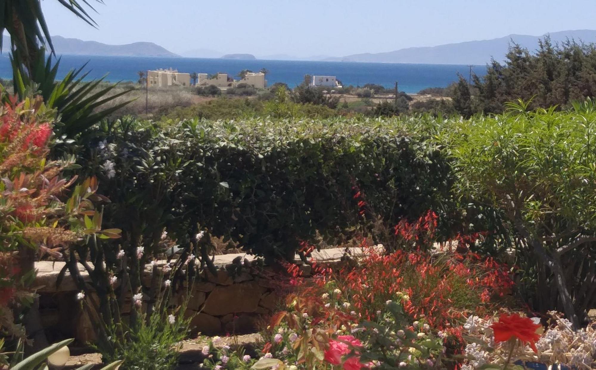 Haus Asterakia Appartement Aliko Beach Buitenkant foto