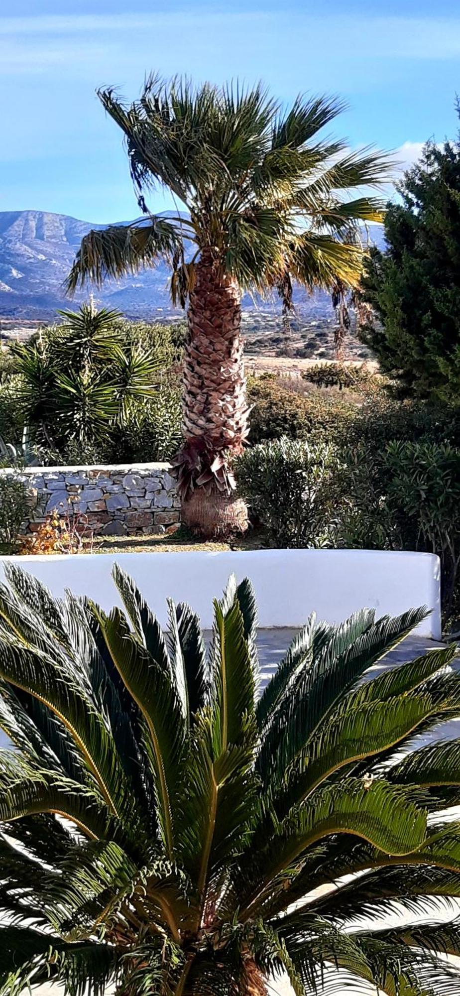 Haus Asterakia Appartement Aliko Beach Buitenkant foto